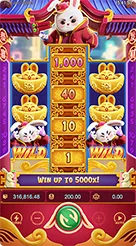 rt9999 · Fortune Rabbit