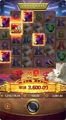 rt9999 · Rooster Rbl